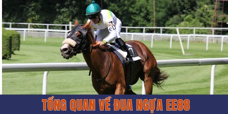 Tổng quan về đua ngựa EE88