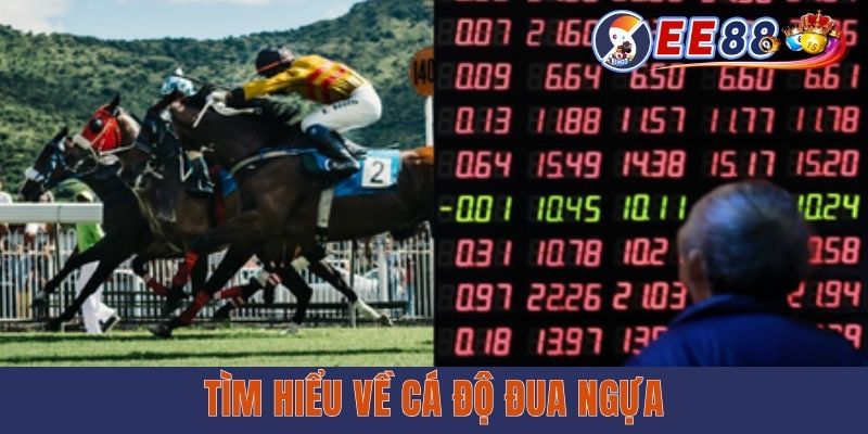 Tìm hiểu về cá độ đua ngựa